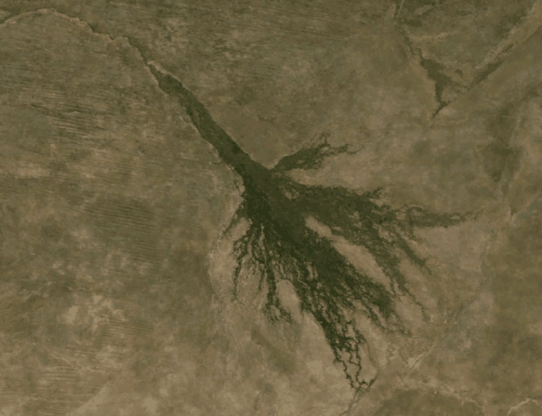 L'Okavango, le fleuve sans mer