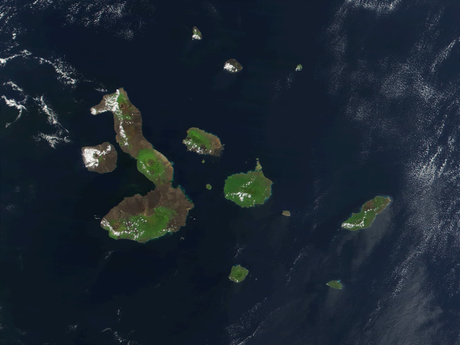Galápagos : le laboratoire de Darwin