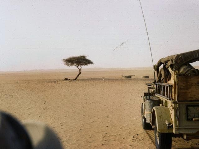 L'arbre du Ténéré, le plus isolé du monde